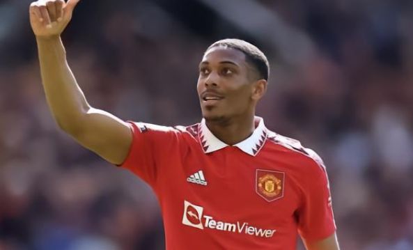 但要提起梅 但要提起梅